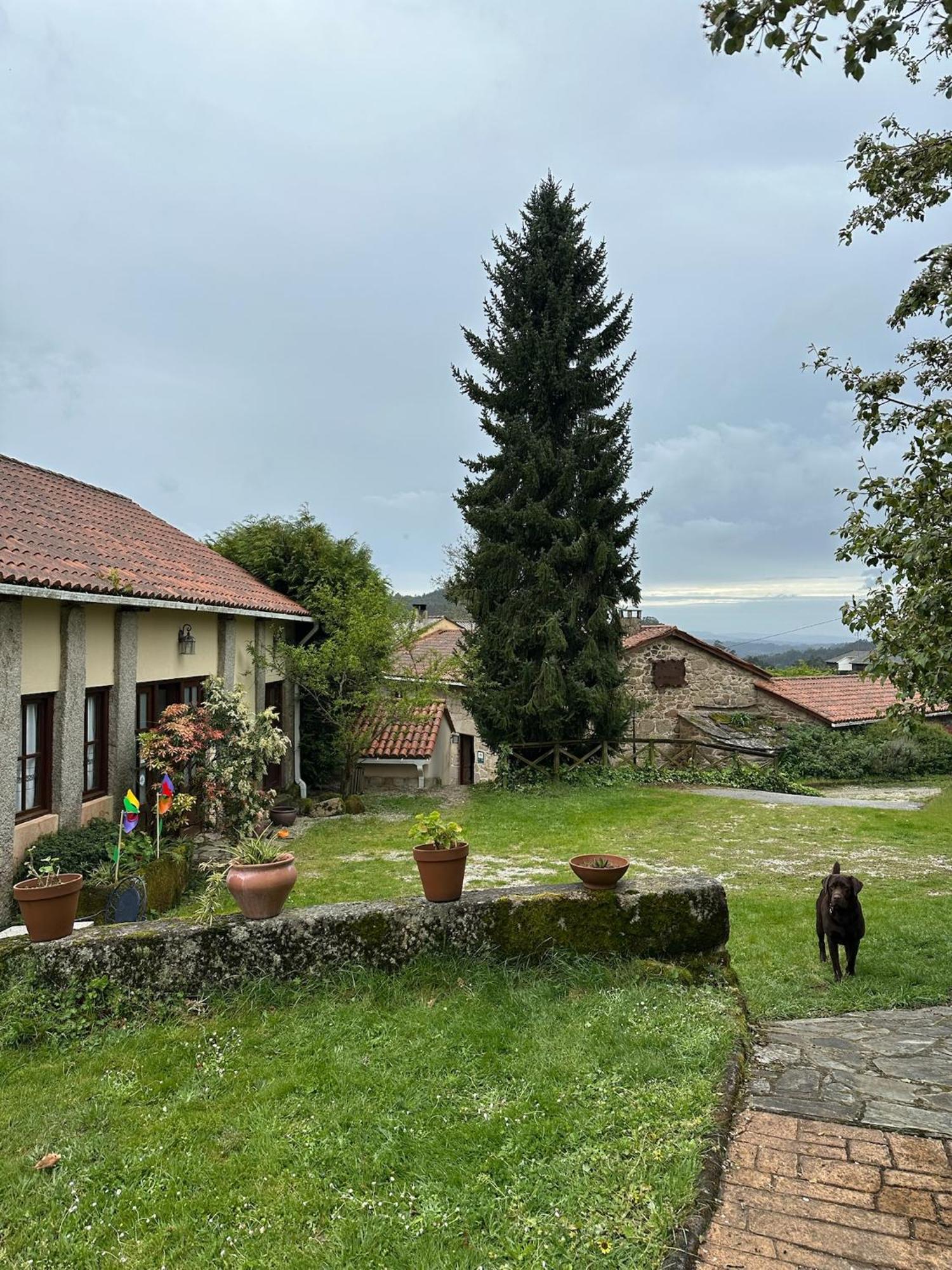 Casa Rural A Cobacha Paderne Exterior foto